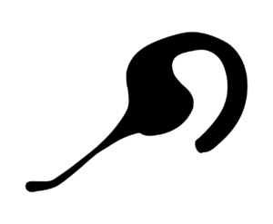 Lanssens Consultores Service Desk